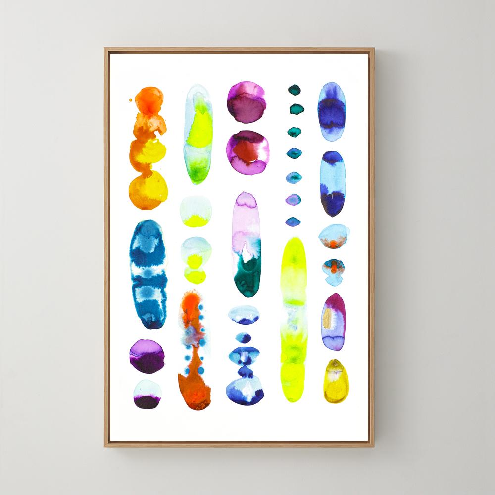 Jellies 01