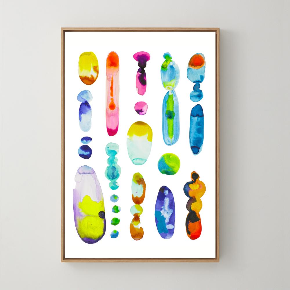 Jellies 02