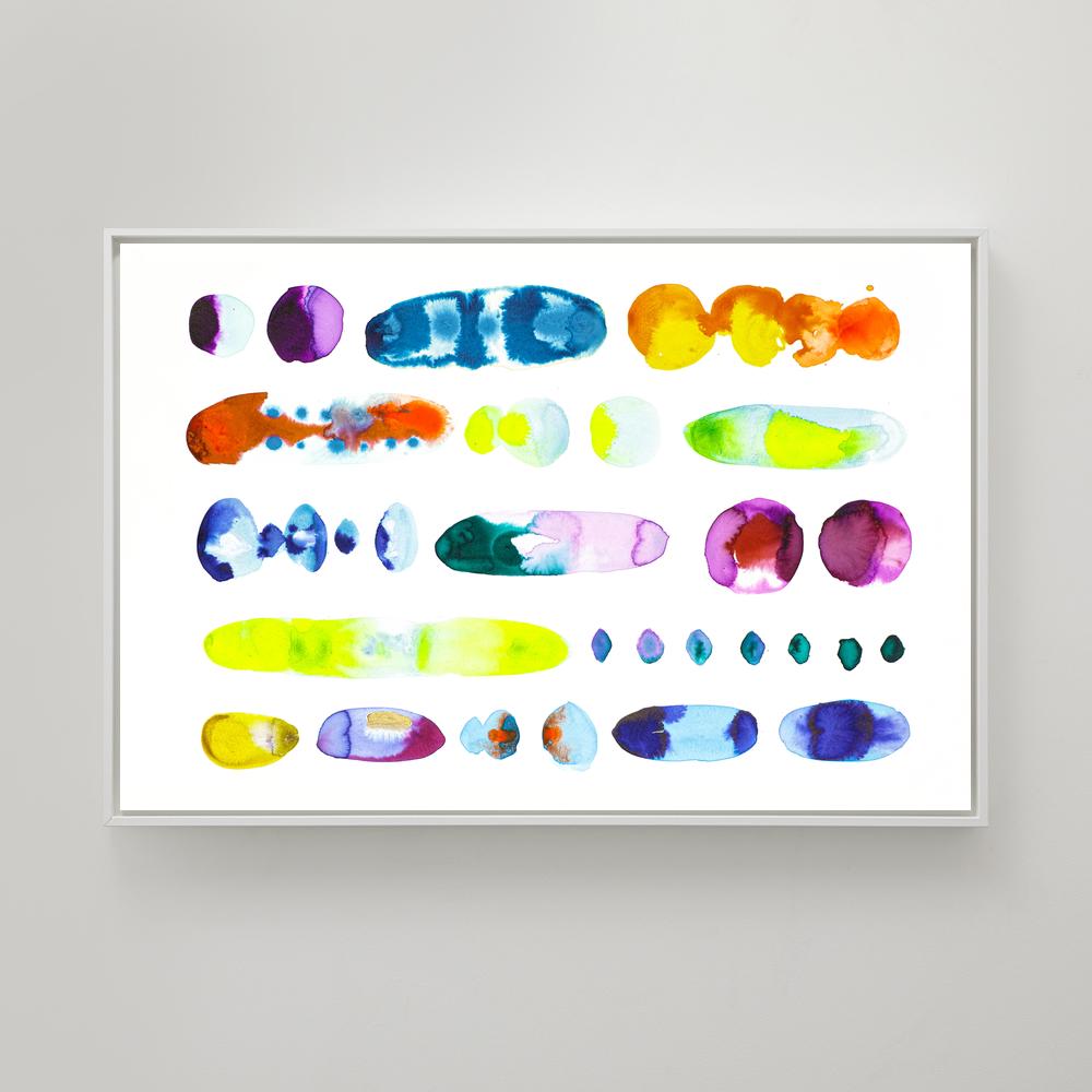 Jellies 01
