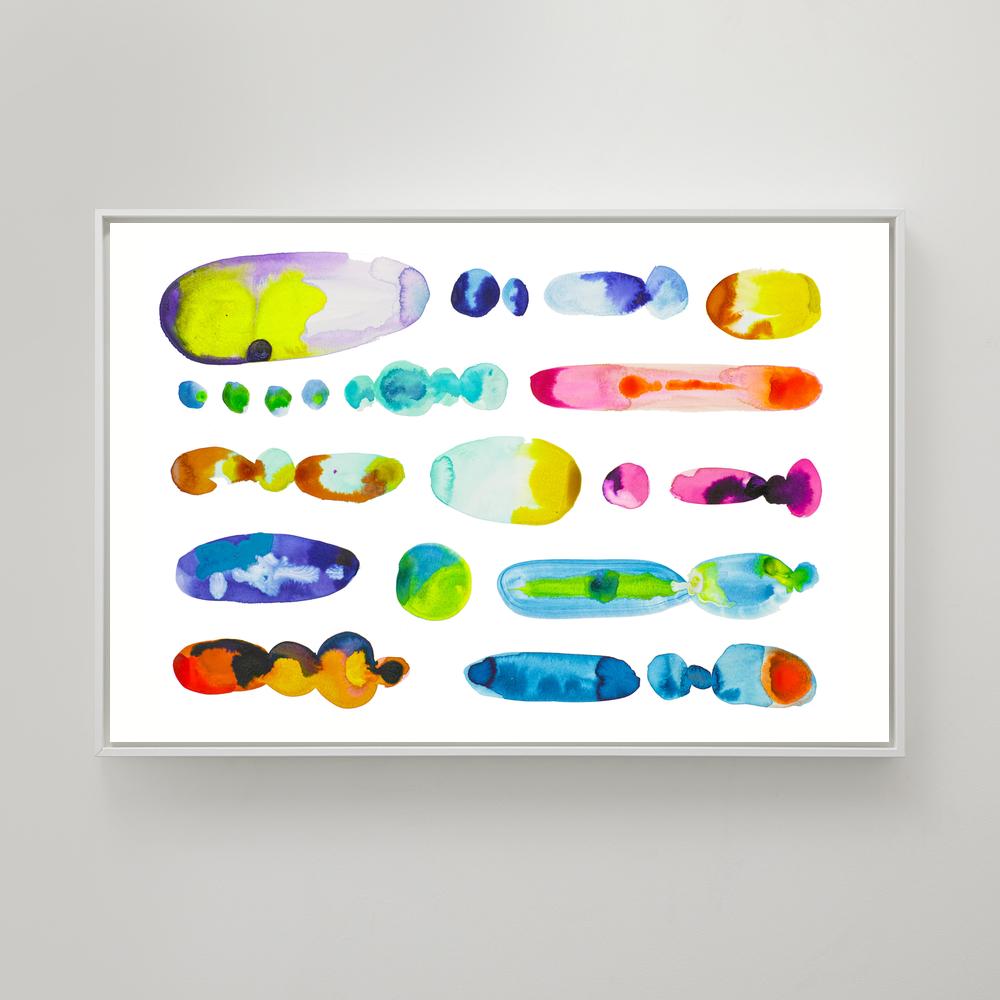 Jellies 02