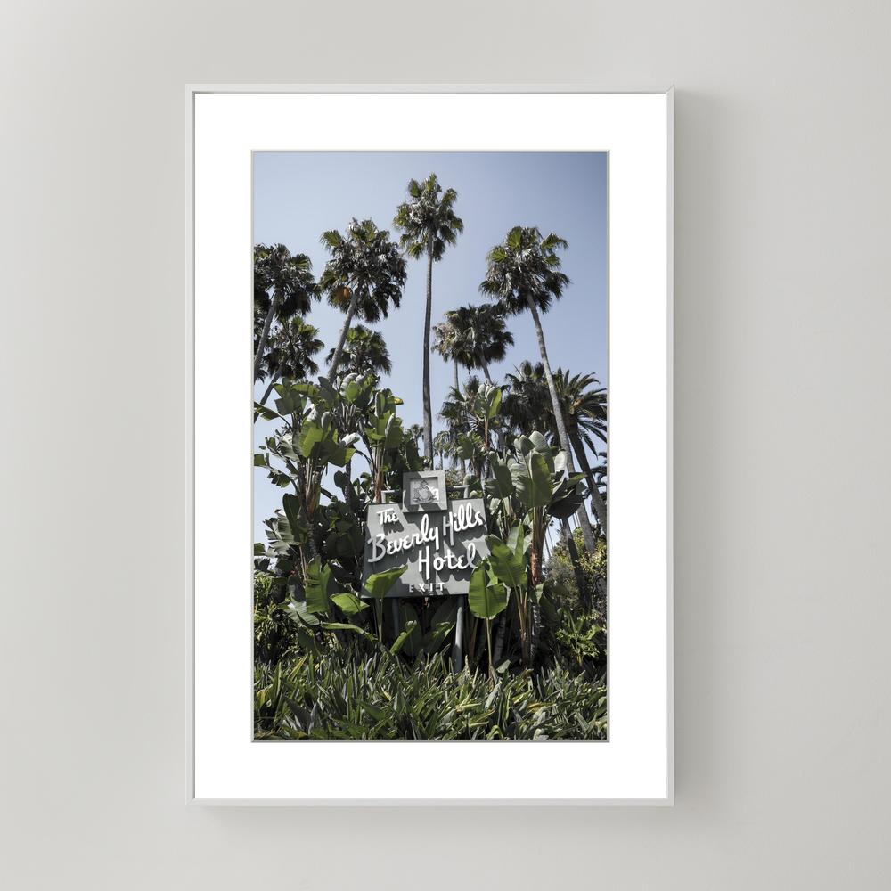 Palm Adorned