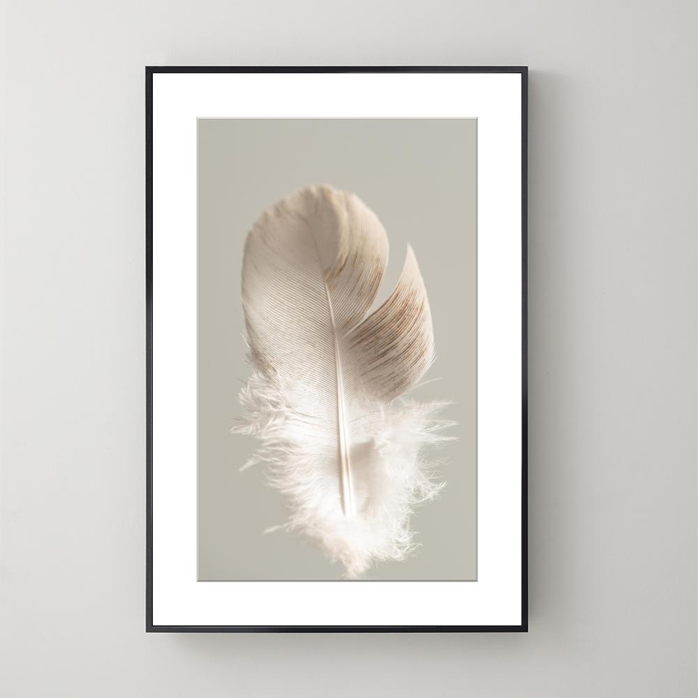 Pluma White