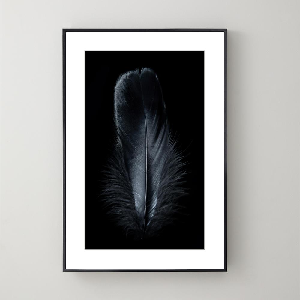 Pluma Black