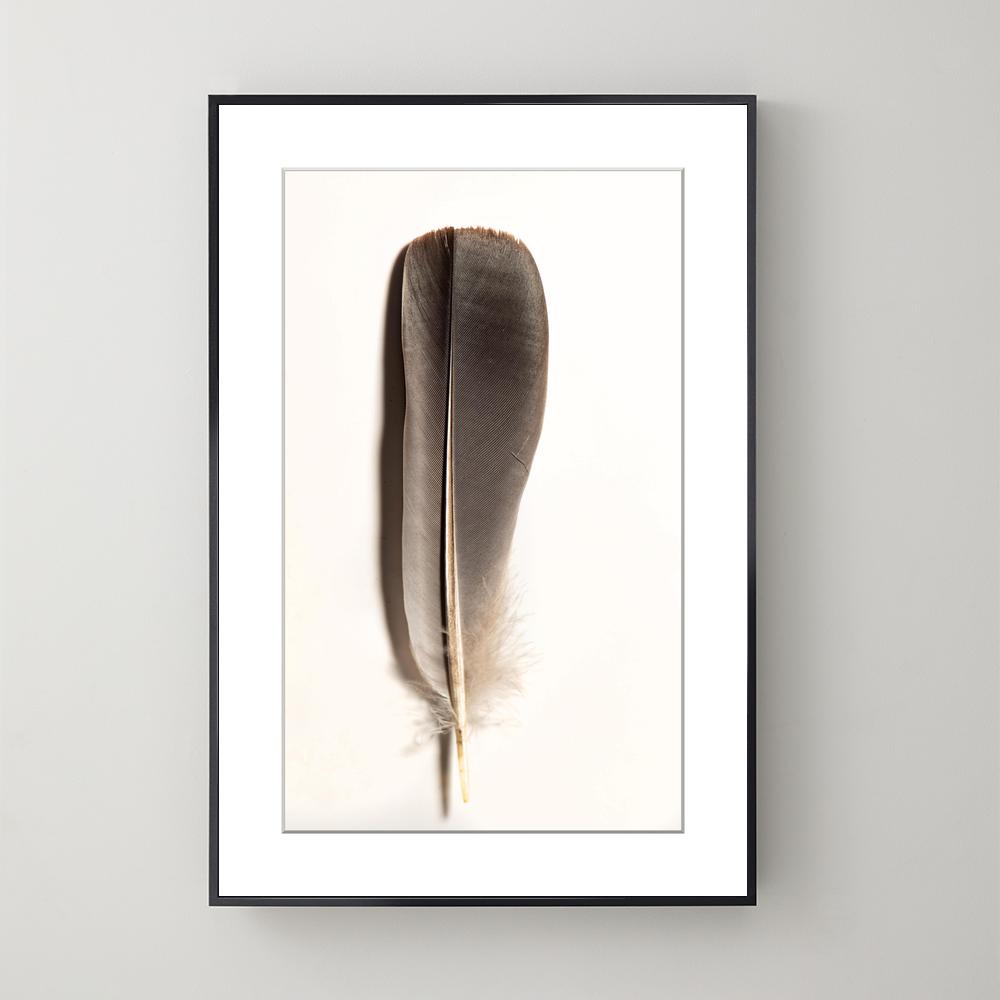 Pluma Light Grey