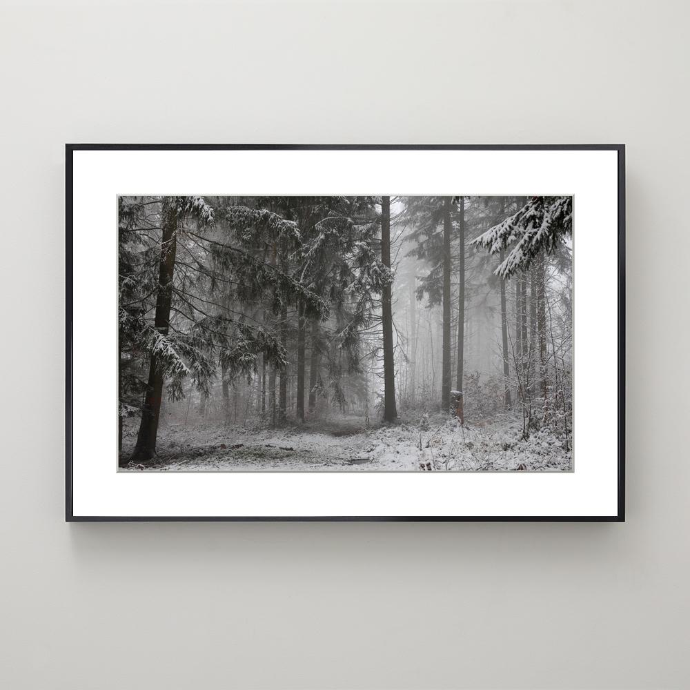 Deep In The Woods