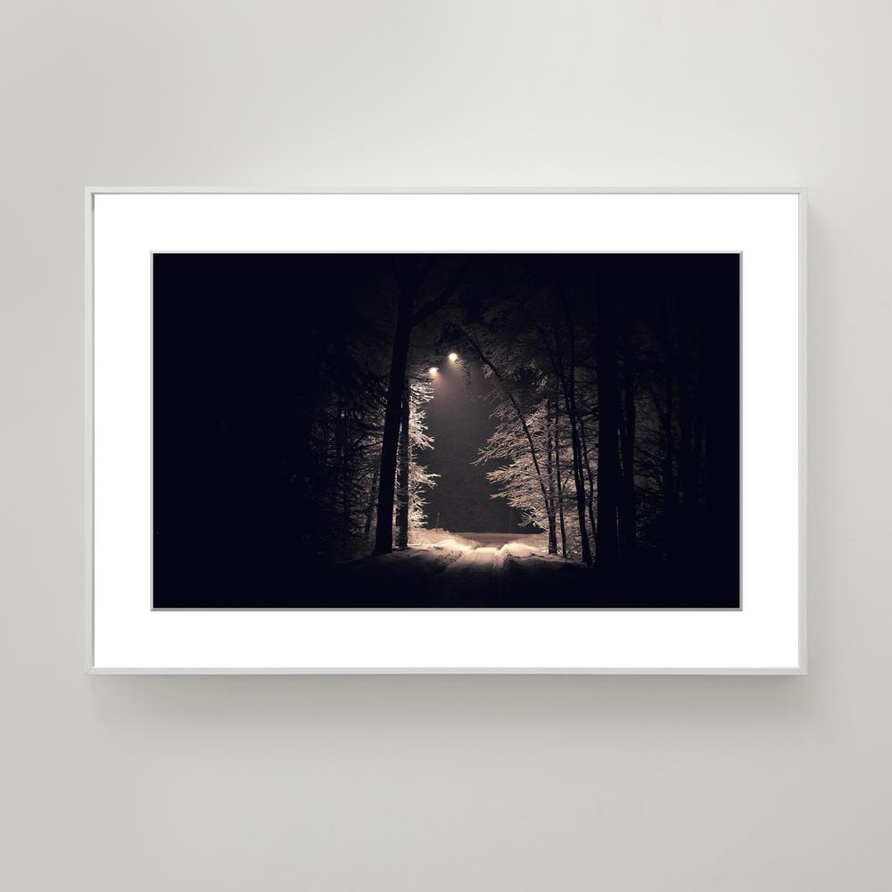 Winter Trail