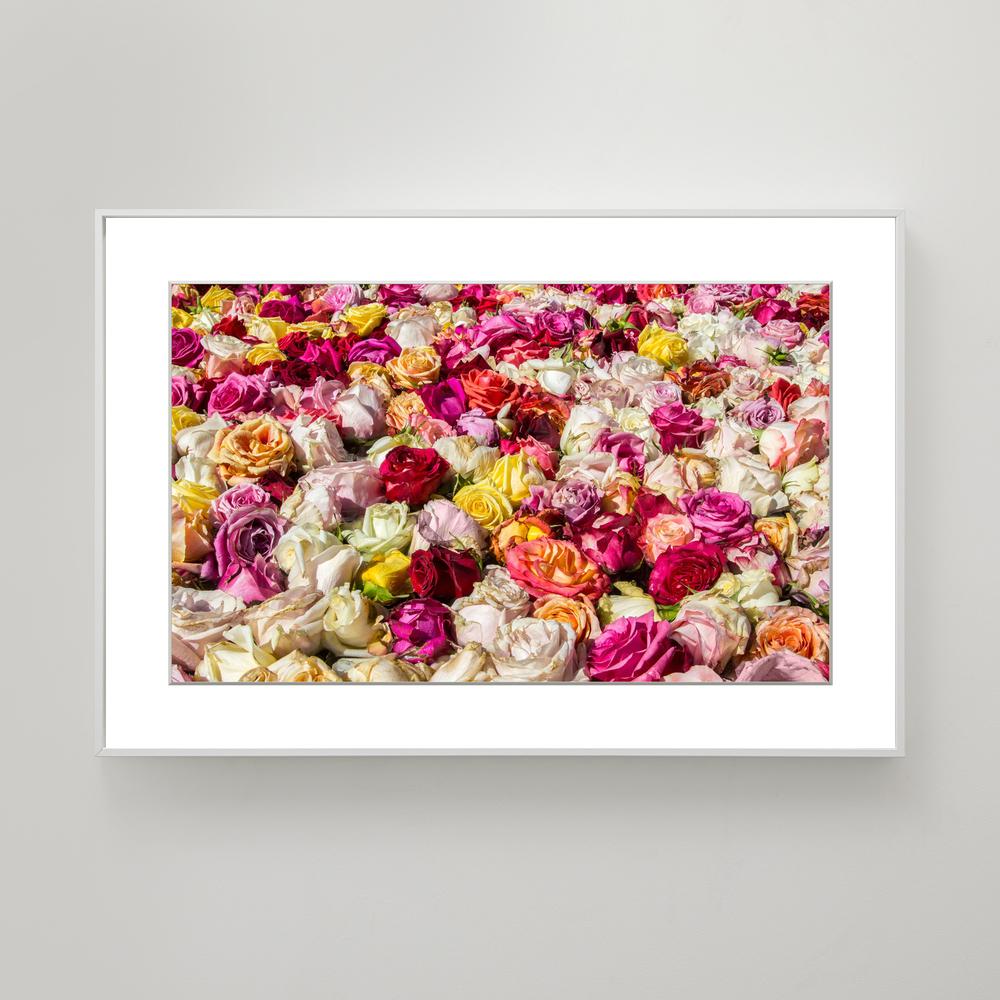 Petalscape