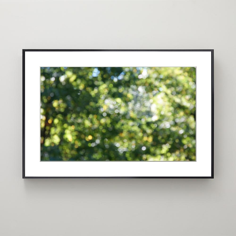 Summer Blur